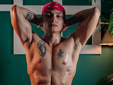 Arthur Phoenix Webcam